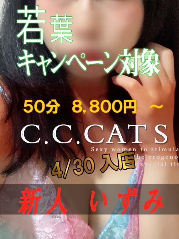 C.C.Cats：いずみ