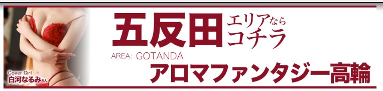 五反田エリアの風俗情報・体験レポート