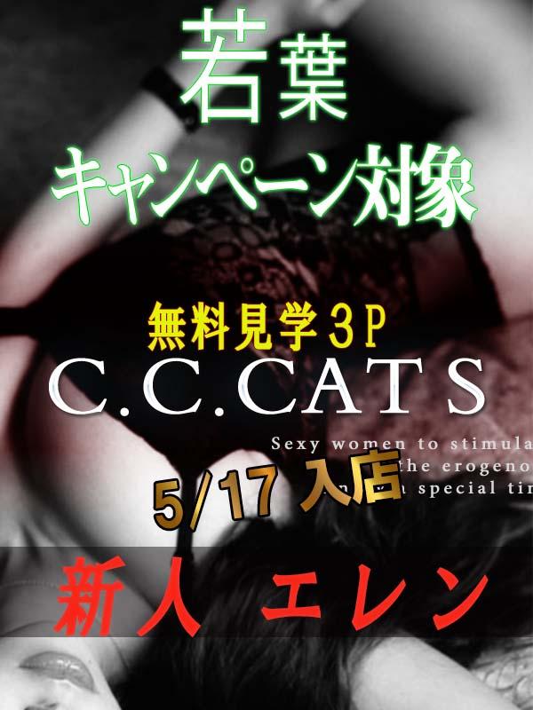 C.C.Cats：エレン
