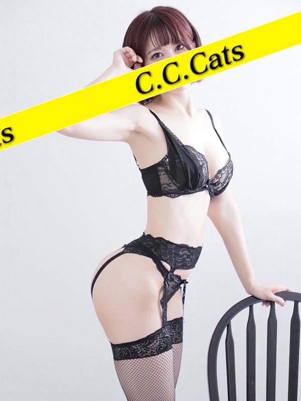 C.C.Cats：とわ