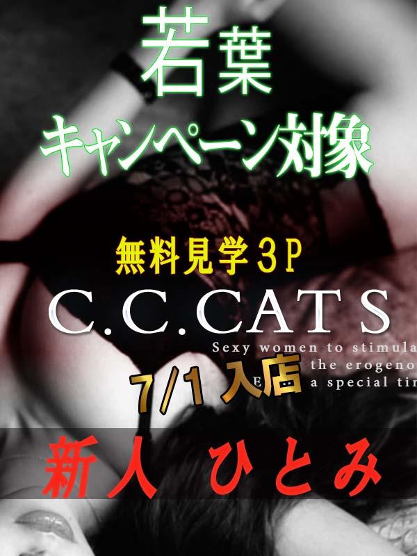 C.C.Cats：ひとみ