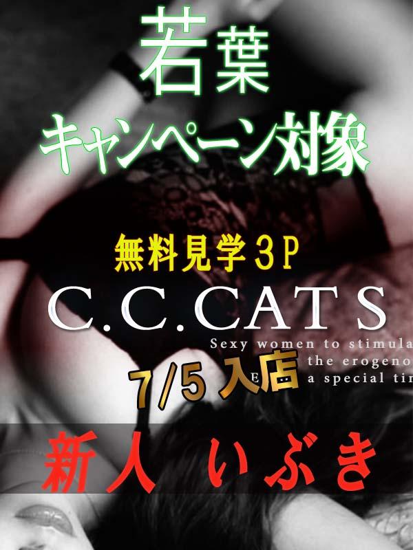 C.C.Cats：いぶき