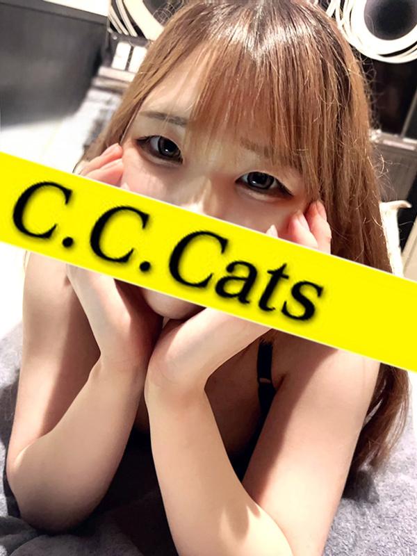 C.C.Cats：あかり