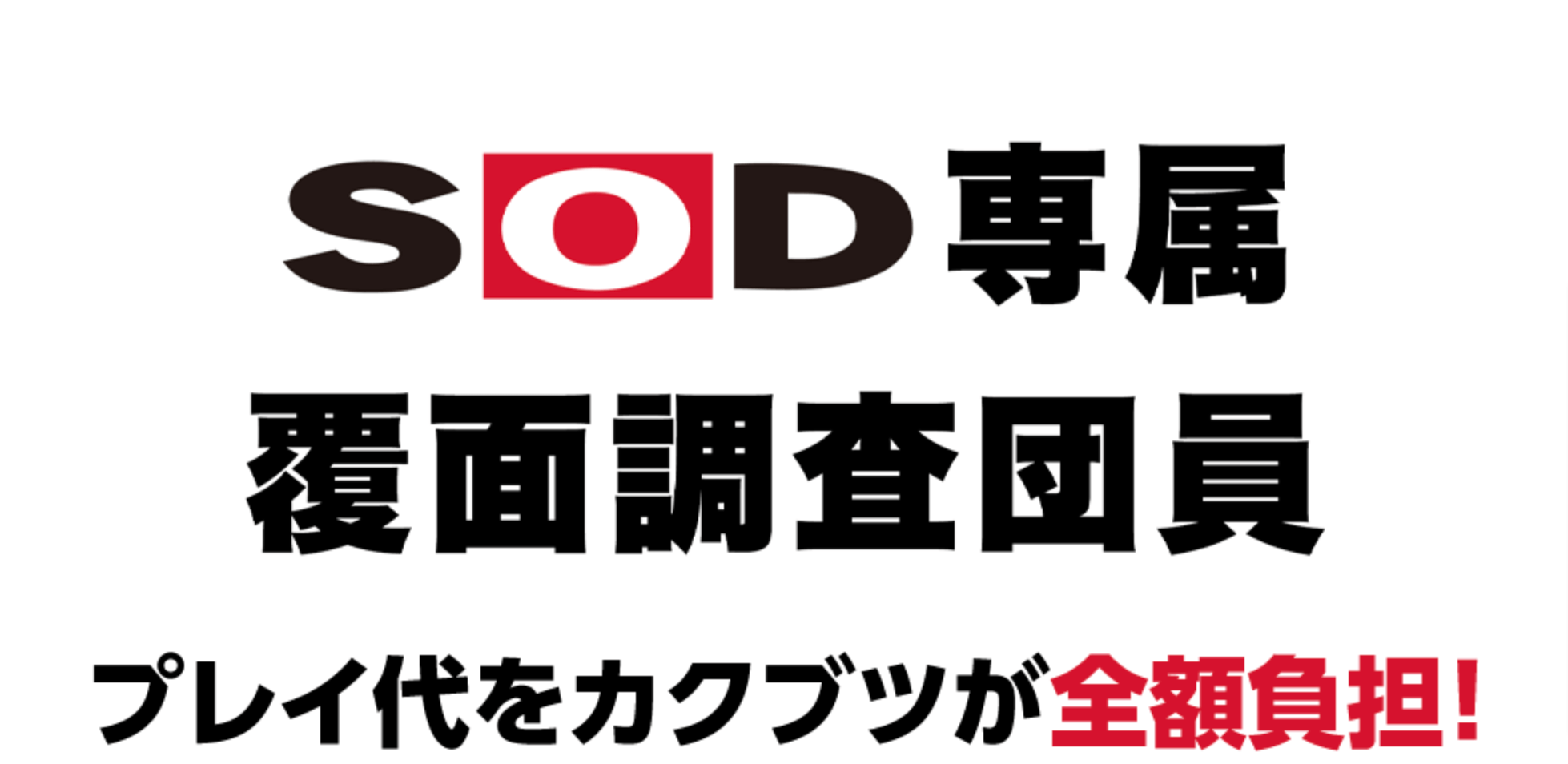 sod専属風俗覆面調査団